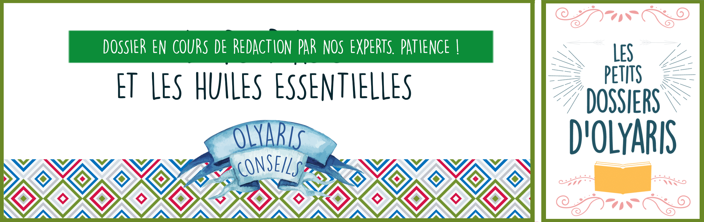 Escarre : Les Huiles Essentielles à Utiliser par Olyaris